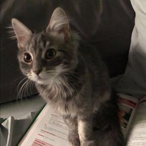 Meet your Posher, Francesca